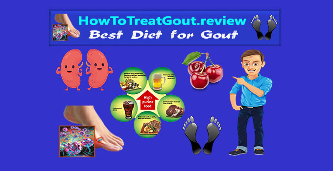 Diet for Gout