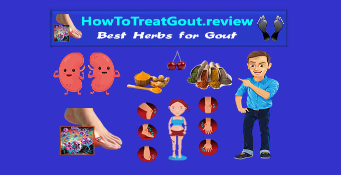 Gout Herbs