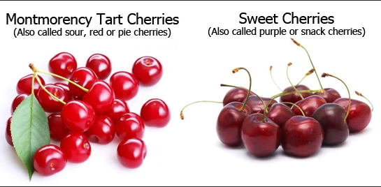 tart cherry vs sweet cherry
